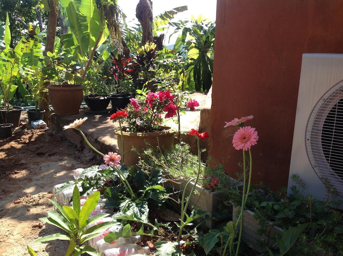 Baan Plubpla Wilai Otel Ban Pu Khai Oda fotoğraf